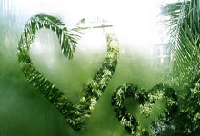 亚博体育APP-关于集结日波士顿凯尔特人备战法国杯，篮板制胜细节曝光，底气十足，轮换策略成焦点的信息-亚博体育APP